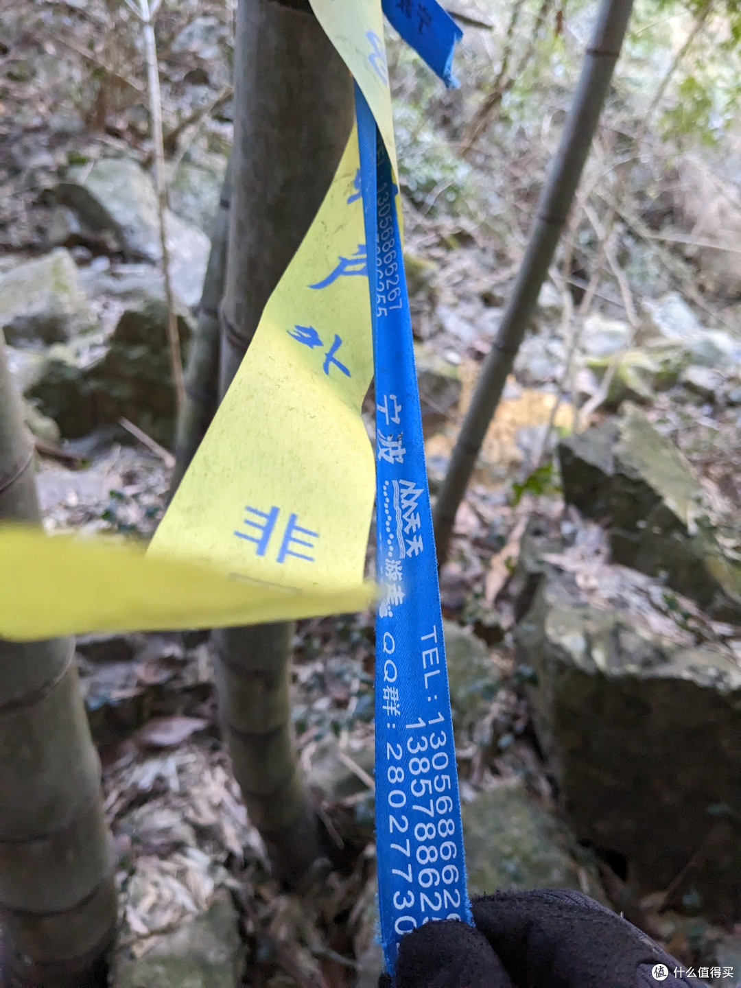 我带了两根不同品牌的登山杖，一红一绿，都是首次使用。其中红色的坏了——杖锁松动，固定不了手杖的高度…所以以后是肯定不会再购买红色这个品牌的登山装备了。我在山路边拣了根粗树枝作为红色登山杖的补充。结实，但高低不平…