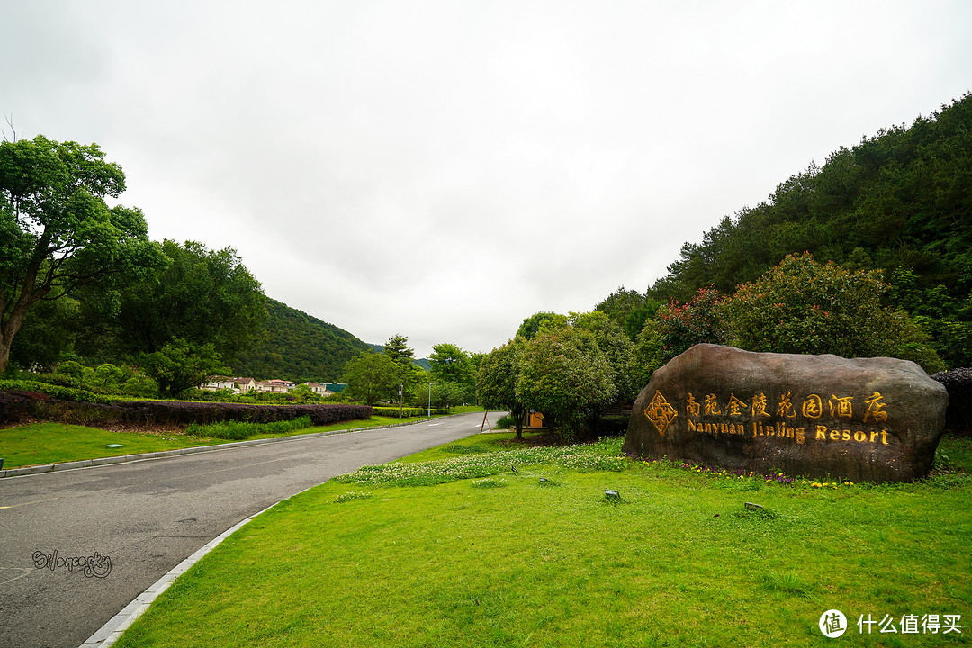 400块住进东钱湖畔临湖独栋私汤别墅！宁波南苑金陵花园酒店 入住体验