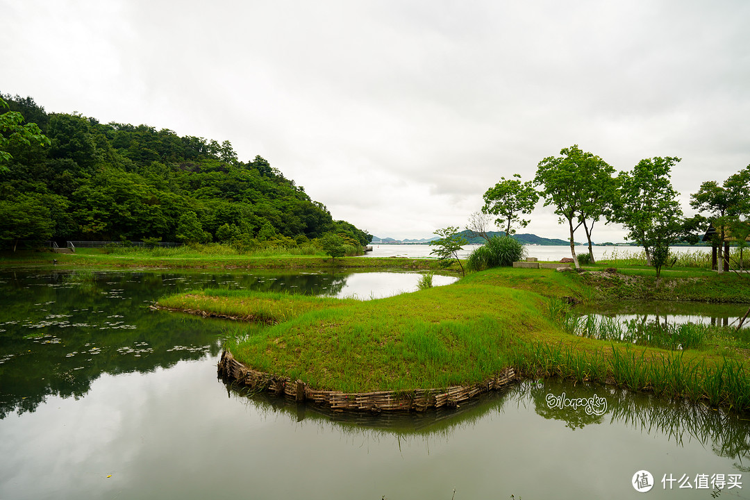 400块住进东钱湖畔临湖独栋私汤别墅！宁波南苑金陵花园酒店 入住体验