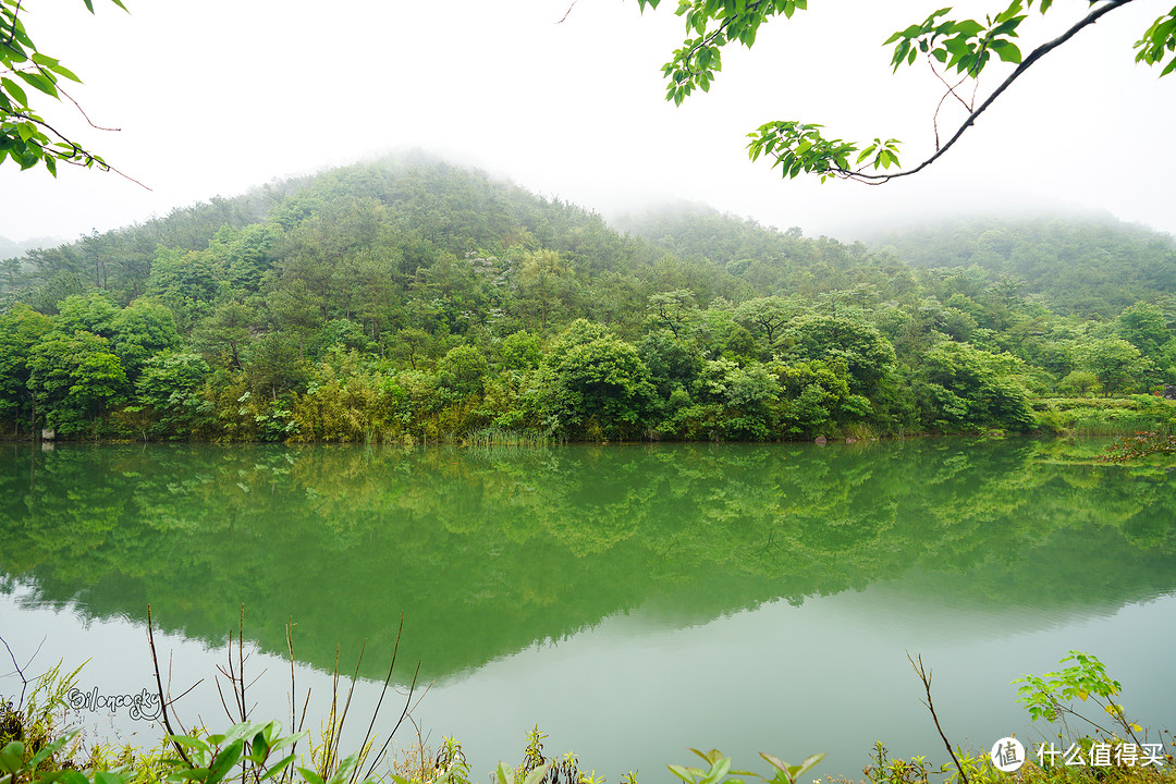 400块住进东钱湖畔临湖独栋私汤别墅！宁波南苑金陵花园酒店 入住体验