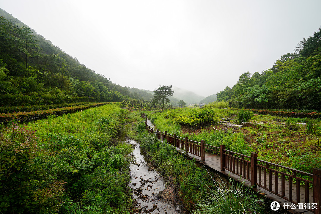 400块住进东钱湖畔临湖独栋私汤别墅！宁波南苑金陵花园酒店 入住体验