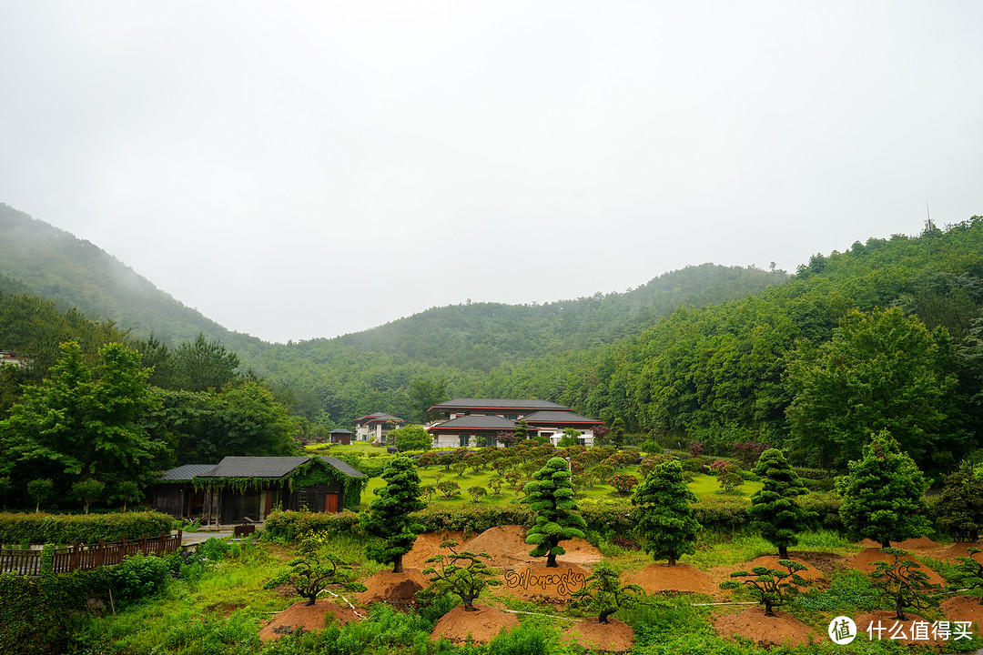 400块住进东钱湖畔临湖独栋私汤别墅！宁波南苑金陵花园酒店 入住体验