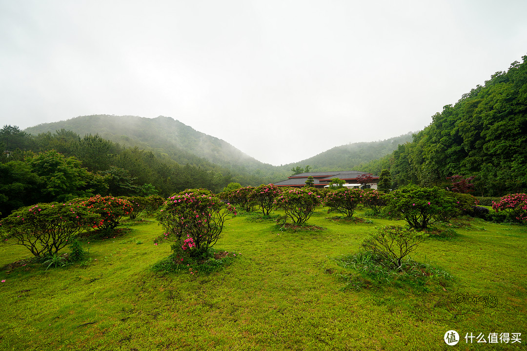 400块住进东钱湖畔临湖独栋私汤别墅！宁波南苑金陵花园酒店 入住体验