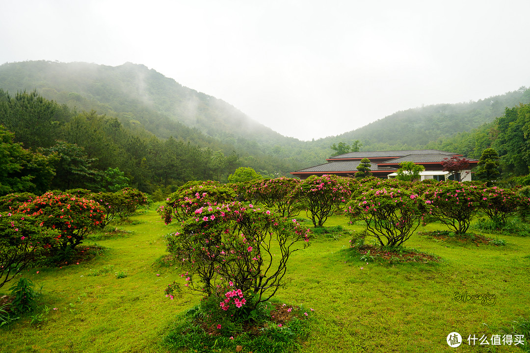 400块住进东钱湖畔临湖独栋私汤别墅！宁波南苑金陵花园酒店 入住体验