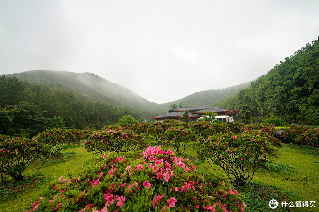 400块住进东钱湖畔临湖独栋私汤别墅！宁波南苑金陵花园酒店 入住体验