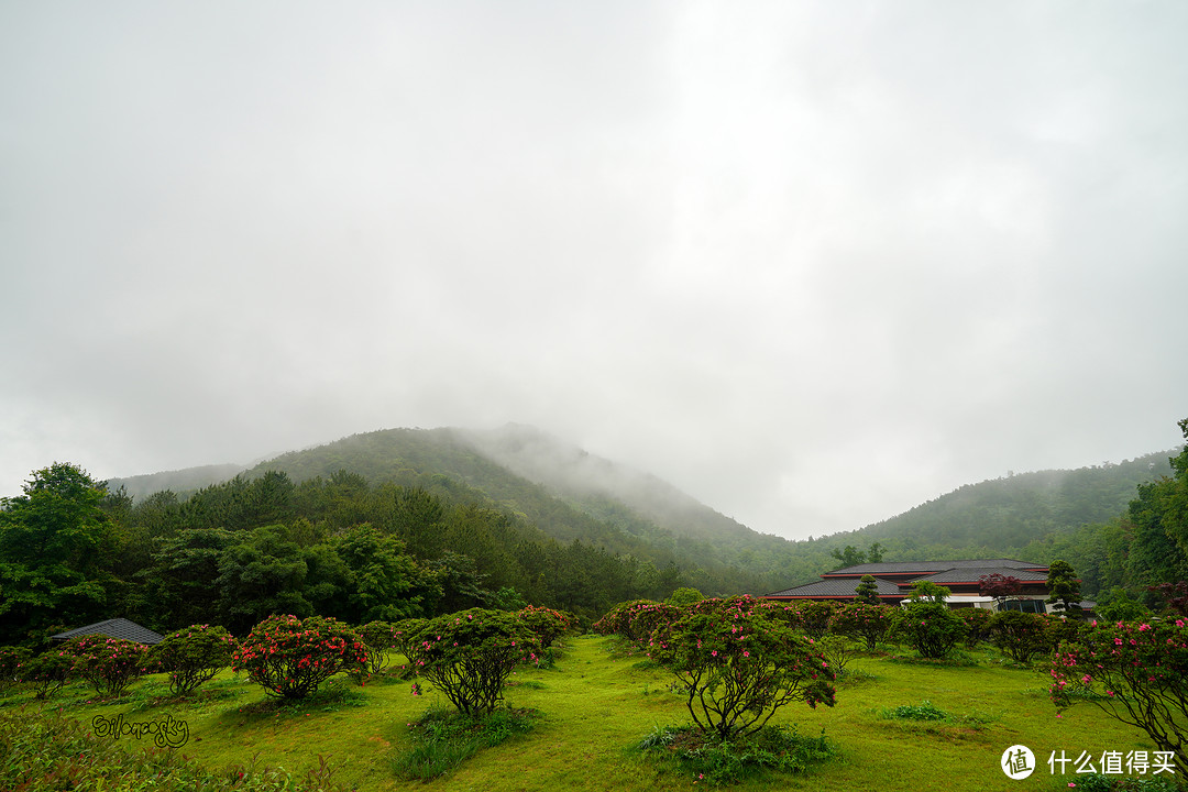 400块住进东钱湖畔临湖独栋私汤别墅！宁波南苑金陵花园酒店 入住体验