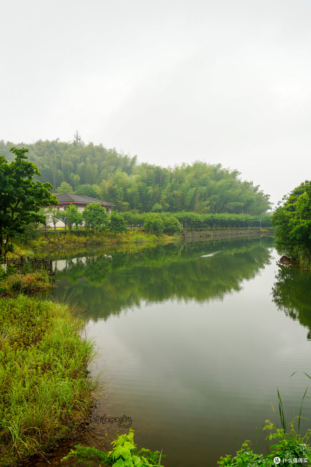 400块住进东钱湖畔临湖独栋私汤别墅！宁波南苑金陵花园酒店 入住体验
