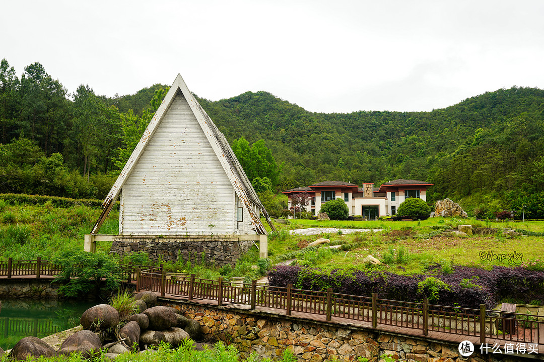 400块住进东钱湖畔临湖独栋私汤别墅！宁波南苑金陵花园酒店 入住体验