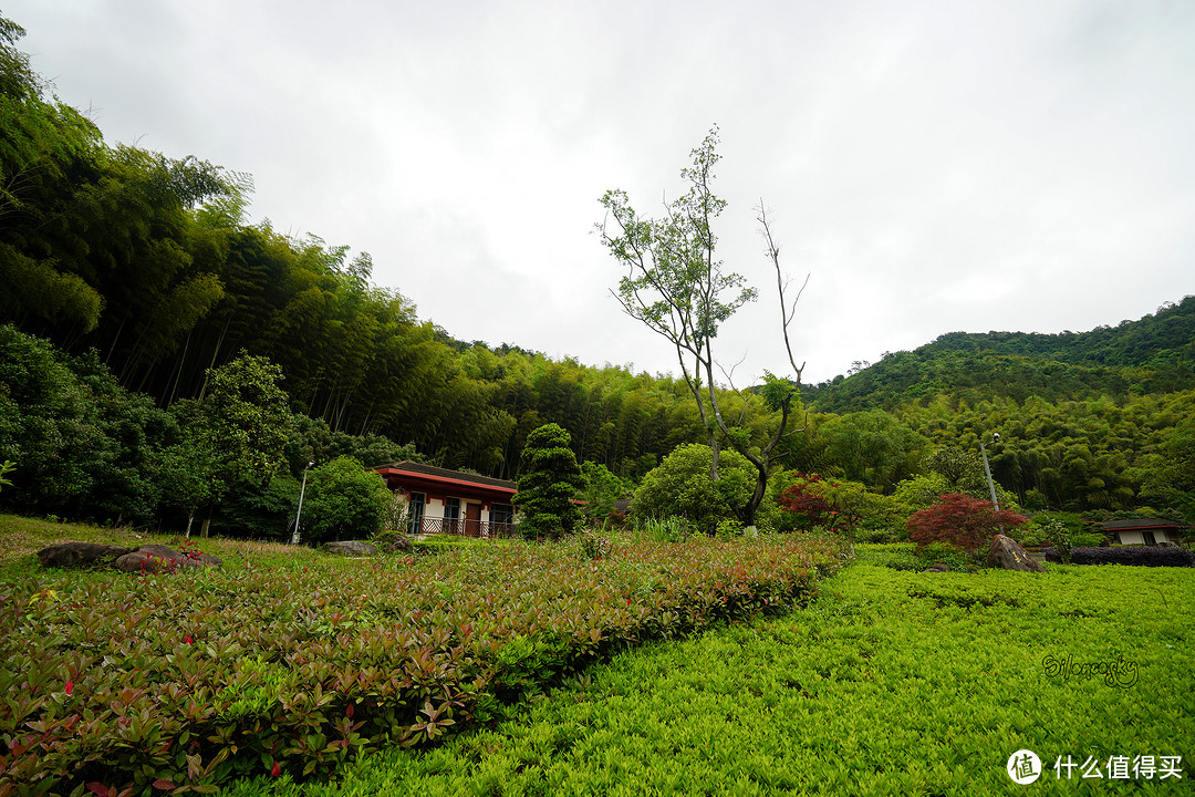 400块住进东钱湖畔临湖独栋私汤别墅！宁波南苑金陵花园酒店 入住体验