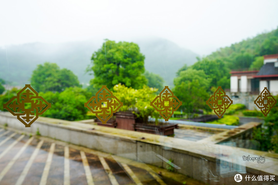 400块住进东钱湖畔临湖独栋私汤别墅！宁波南苑金陵花园酒店 入住体验