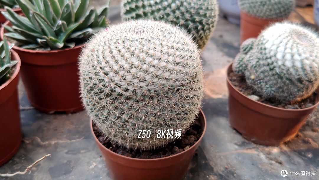 最便宜第二代骁龙8 努比亚Z50体验