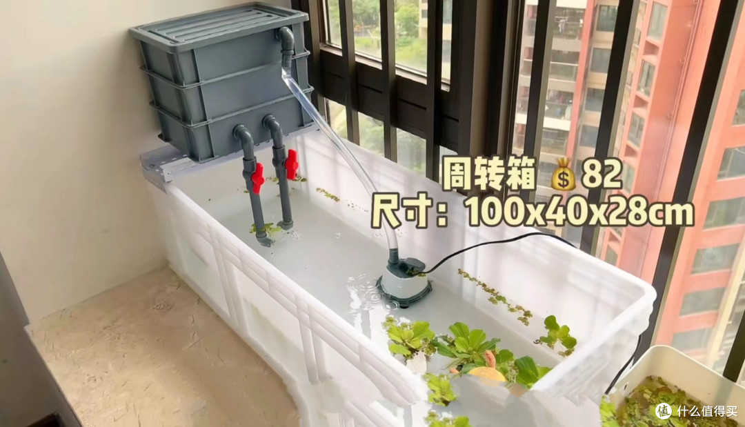 斯是陋室,惟龟喜好:养龟容器的选择