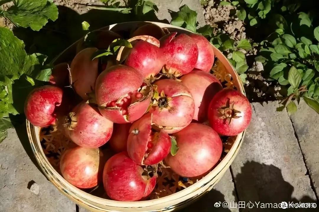 发现黄雅莉太能干，别墅、房车装修的那叫一个“漂亮”，晒晒！