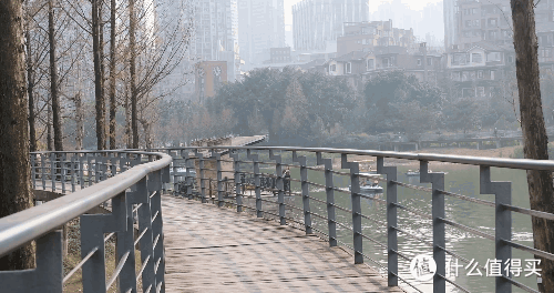 又轻又稳?国产蝎子mini稳定器测评