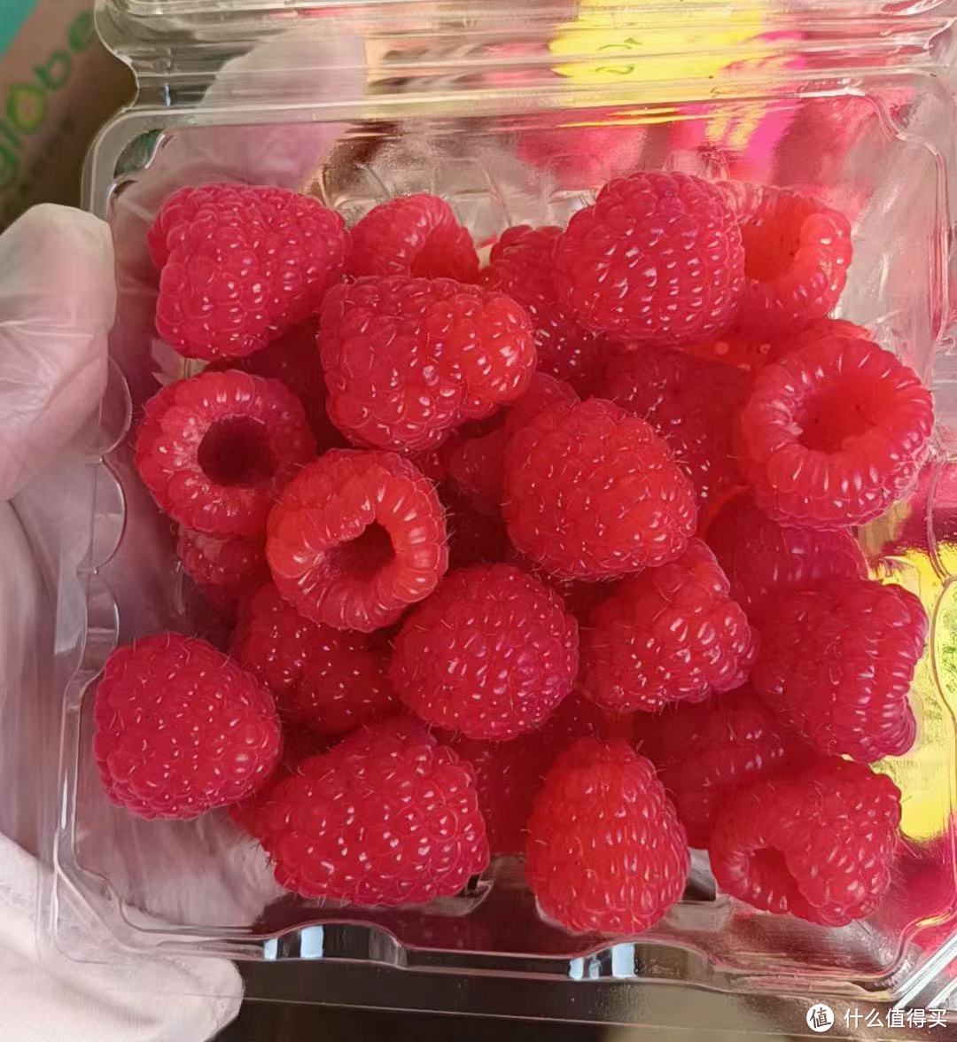 舌尖上的美味~颗颗饱满多汁的怡颗莓树莓