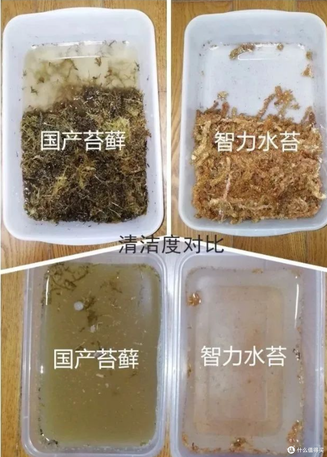 冬眠,如何让龟睡个好觉?