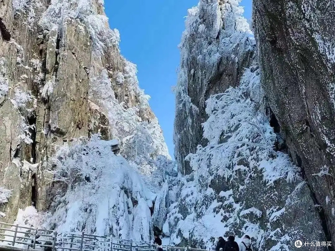 说走就走,去老君山赏雪吧