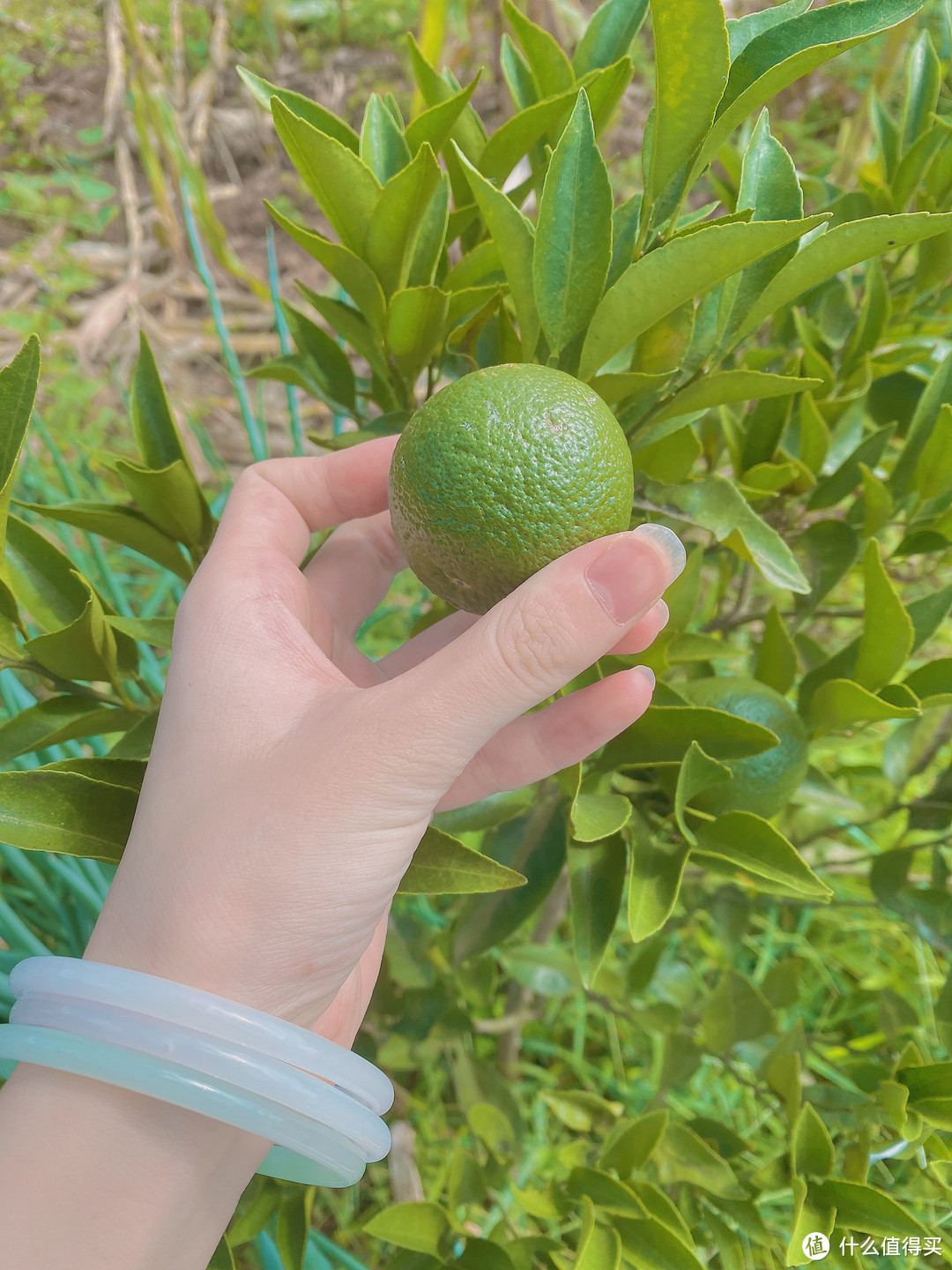 青色配色真的太清新了❤️