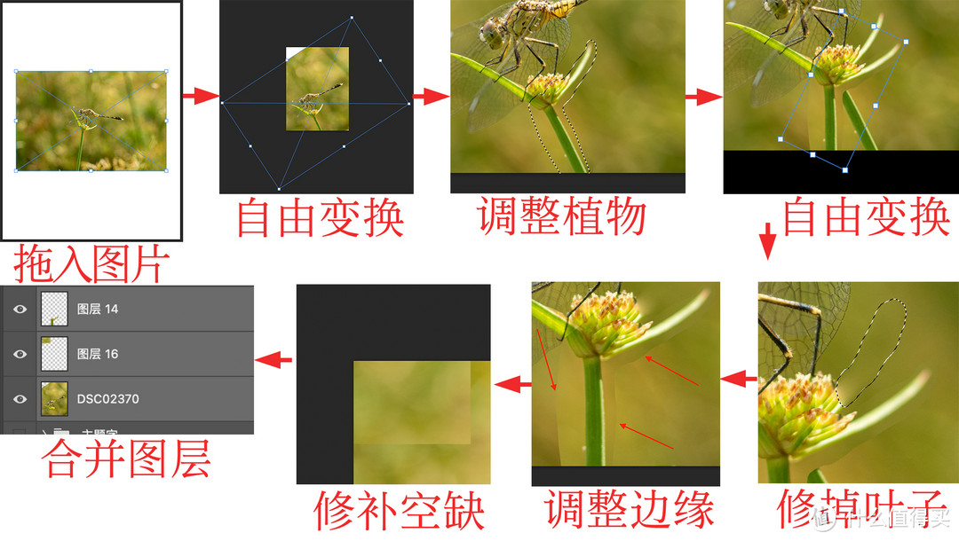 做一张中国传统二十四节气海报【惊蛰】