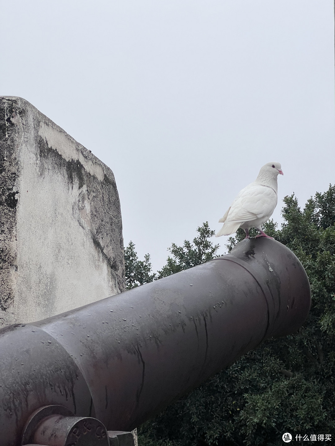 疫情后说走就走的澳门逛吃记