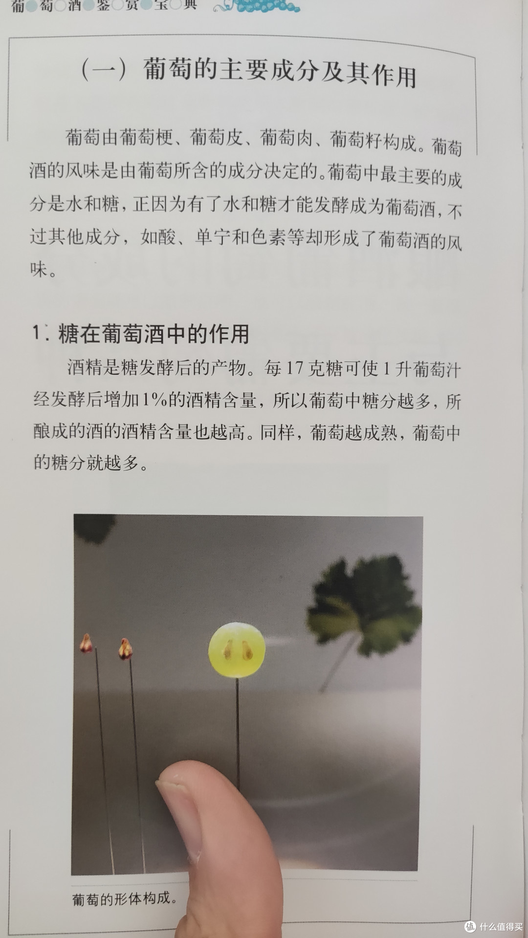 孩子开学了，咱也得跟着学习起来了！
