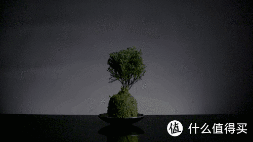 功率提升、质感升级,国产永诺双色温摄像灯简评