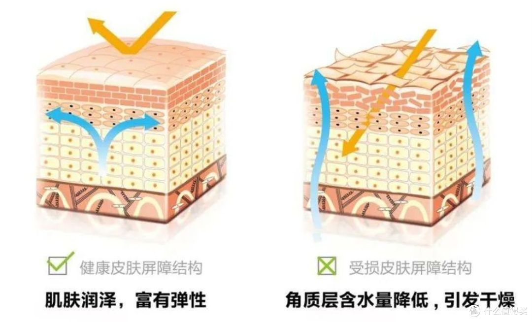 皮肤反反复复长痘？送你一篇自救指南！