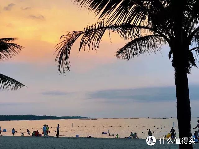 每年春天爆火一次!来过的人都率先实现了菠萝和大海自由~