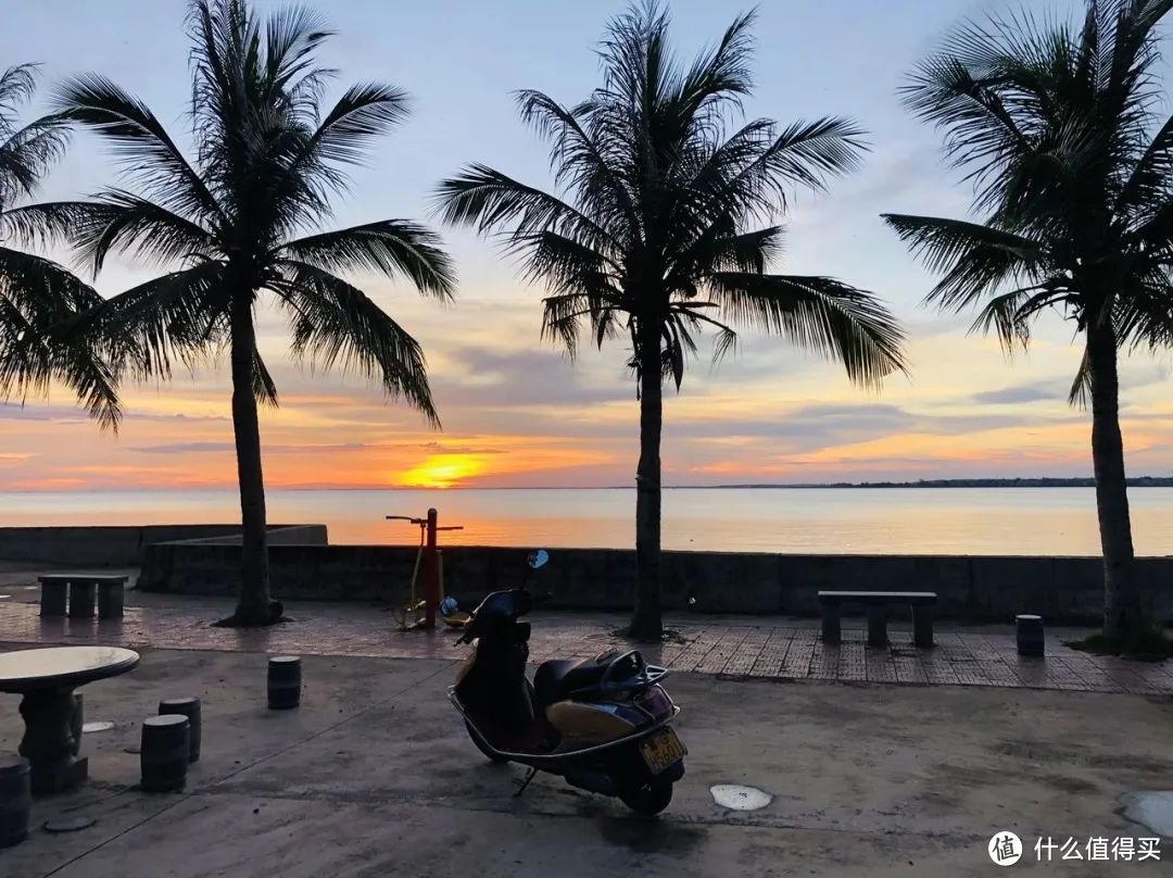 每年春天爆火一次!来过的人都率先实现了菠萝和大海自由~