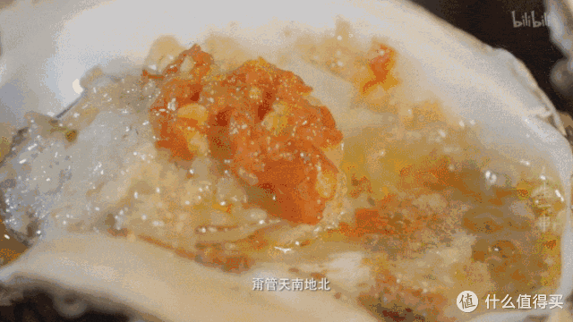 每年春天爆火一次!来过的人都率先实现了菠萝和大海自由~