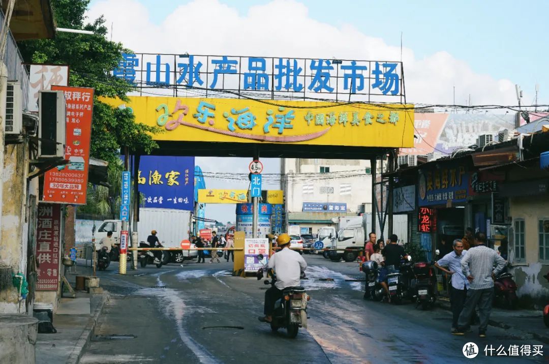 每年春天爆火一次!来过的人都率先实现了菠萝和大海自由~