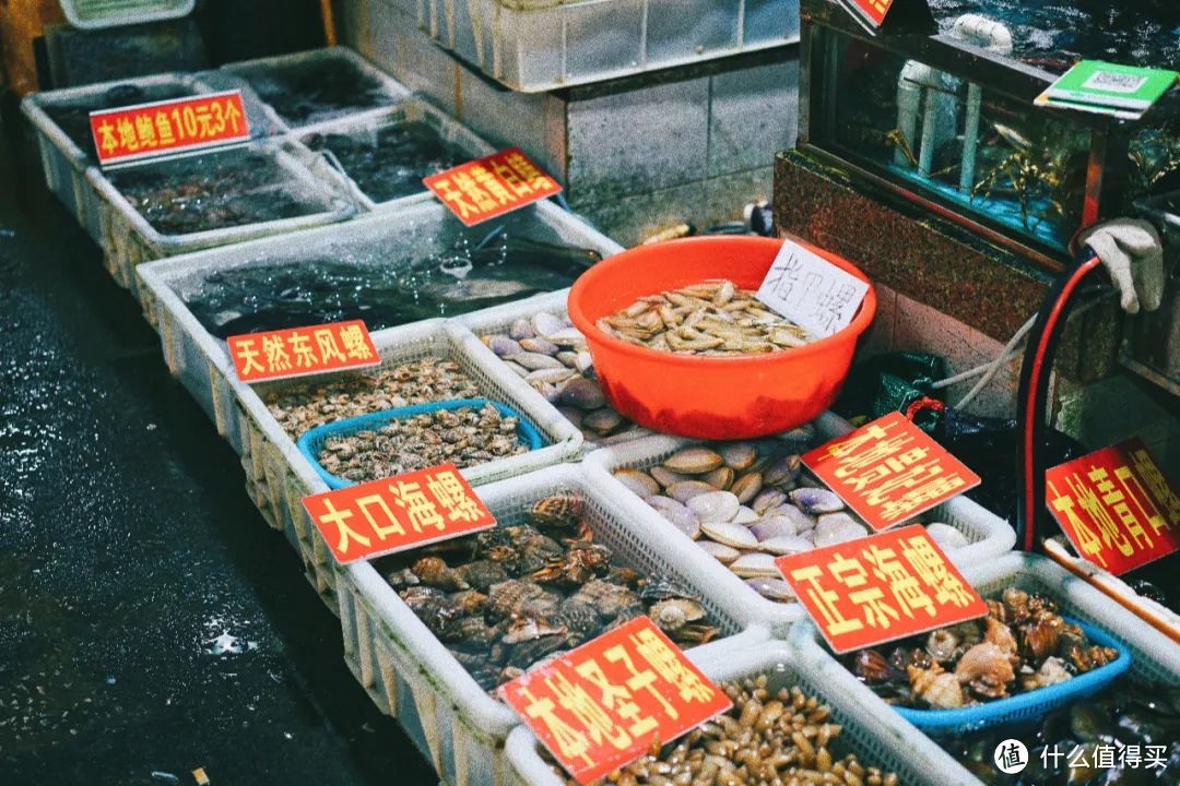 每年春天爆火一次!来过的人都率先实现了菠萝和大海自由~