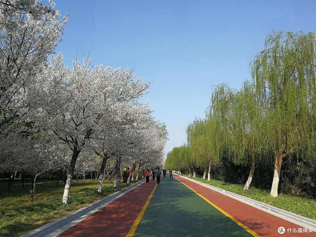 公园