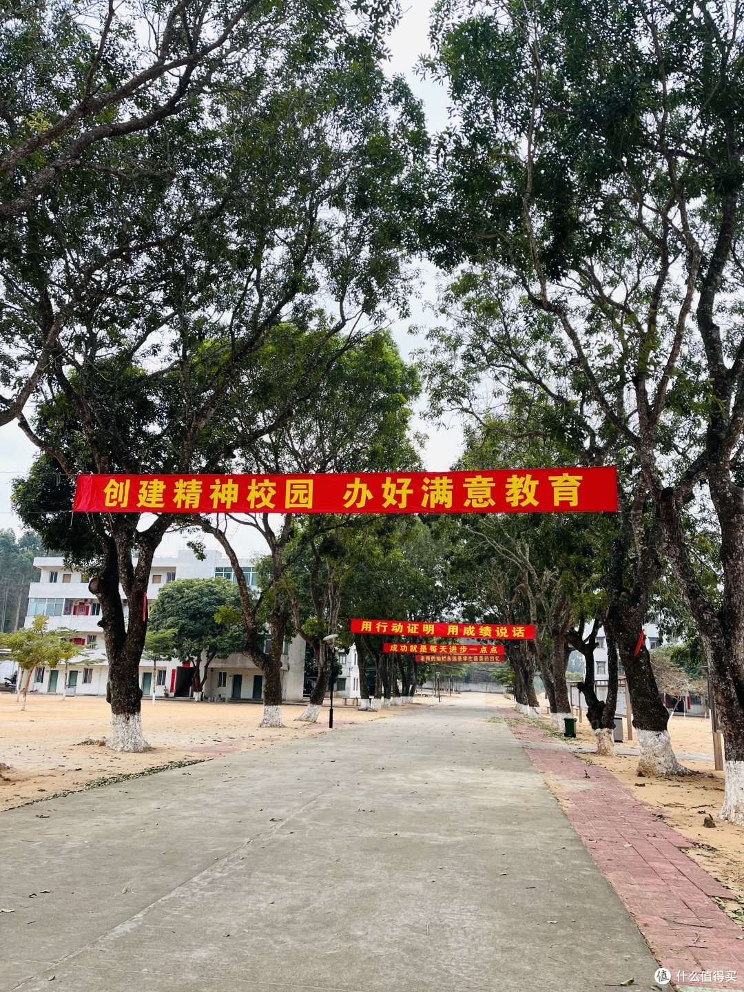 长路漫漫是如何走过,聊聊我的学生时代~