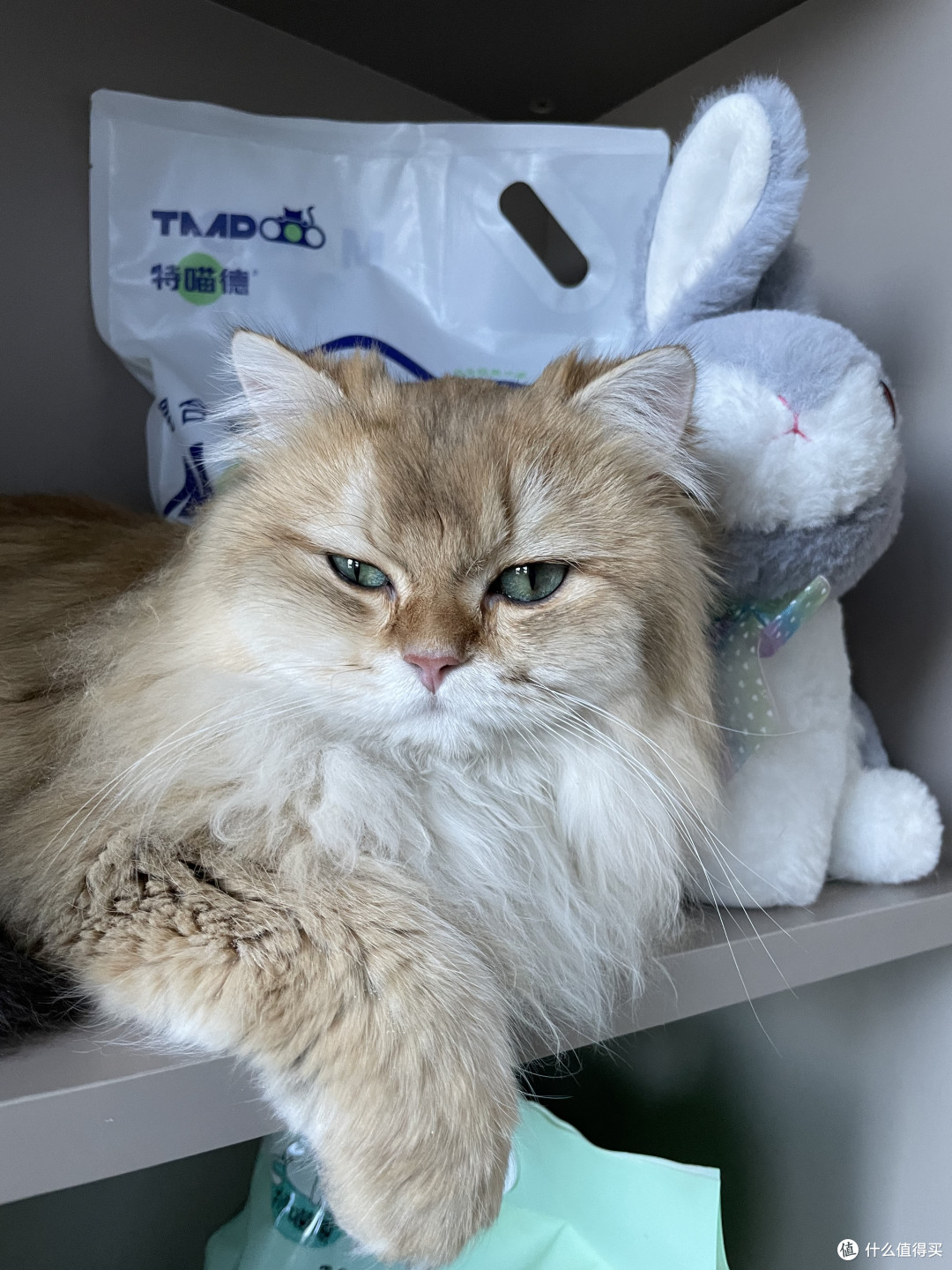 特喵德混合猫砂,铲屎官福音!!!