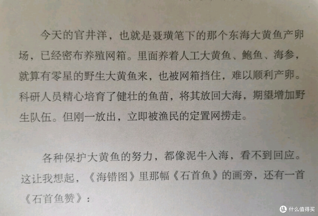 教孩子学习小亮老师的海洋知识