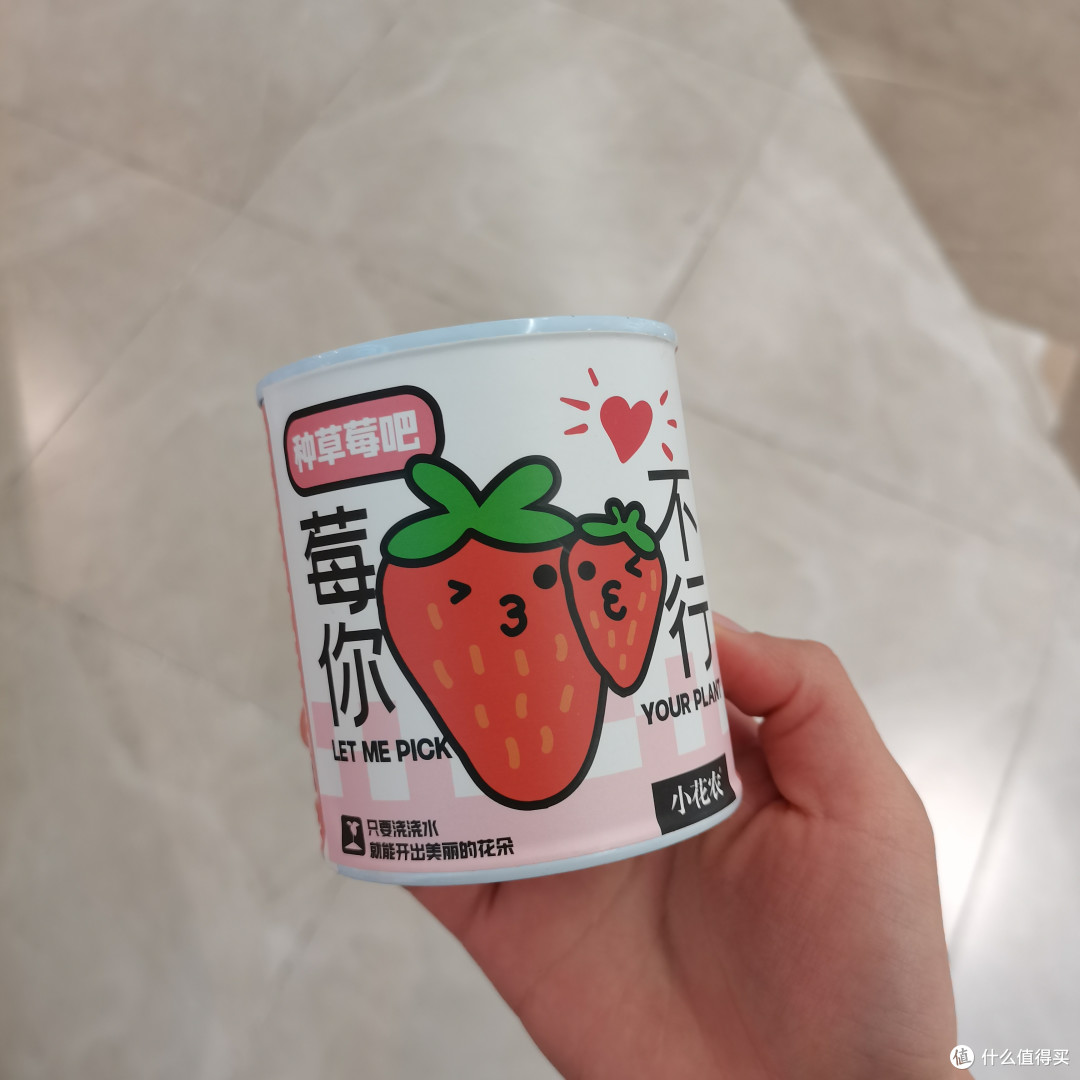生活好物分享之神奇的盆栽
