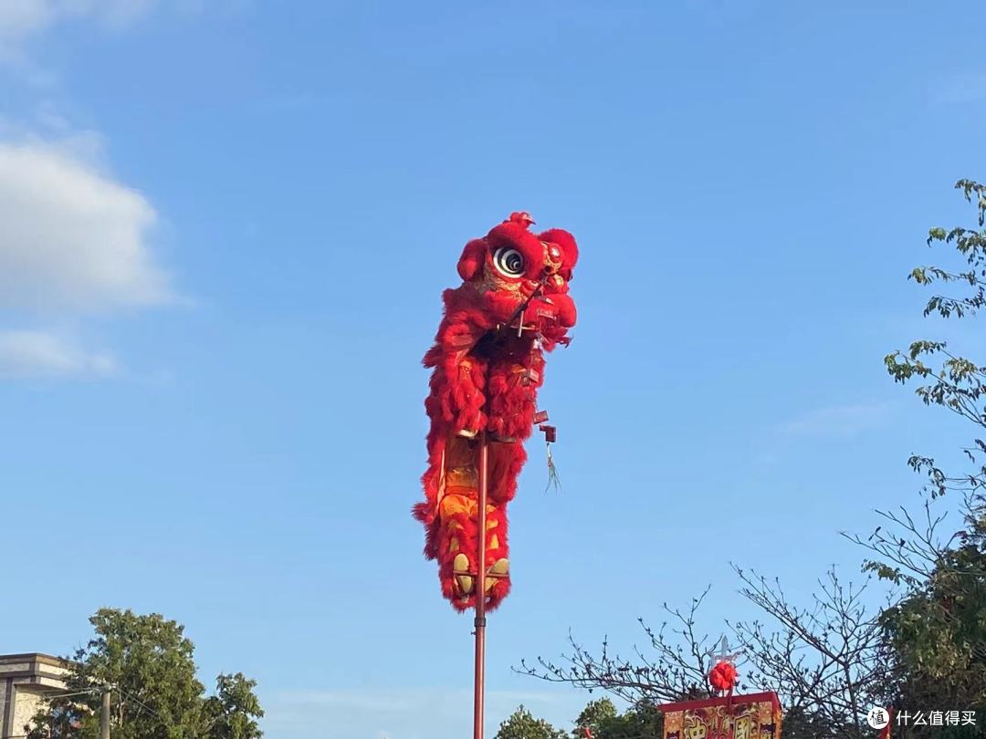 还记得当年的那个雄狮少年吗