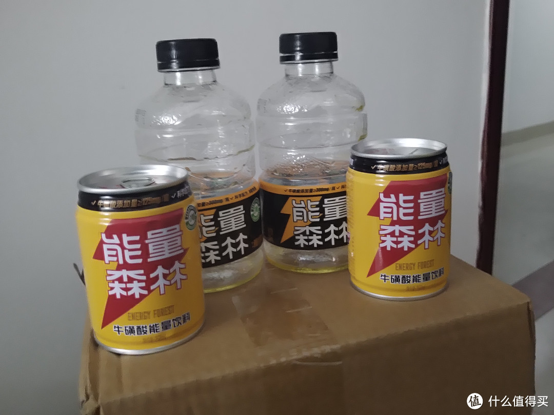 能量森林维生素运动健身能量饮料瓶装 2瓶体验装