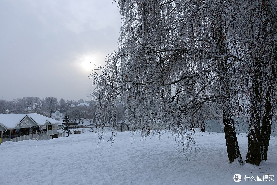 在修道院入口冲外面拍了一张，我还是挺喜欢看大雪景的。