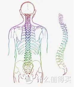 【人体工学椅体验测评】两个星期，新的桌椅帮我摆脱了肩颈疼痛，久坐党/伏案党/白领一族/上班族速来