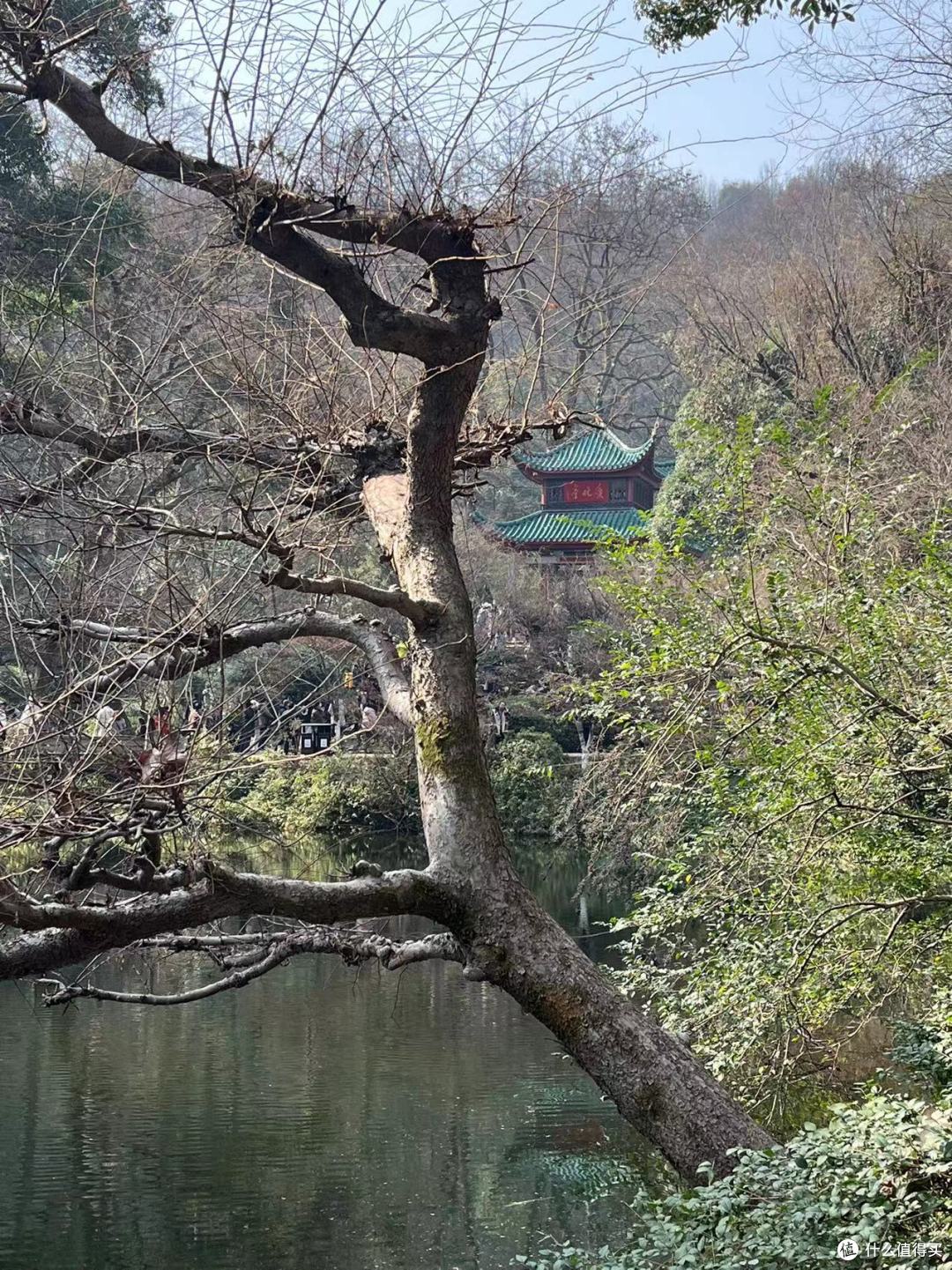 我就是那个大年初五去长沙旅游的大冤种，但长沙的美食是真不错啊