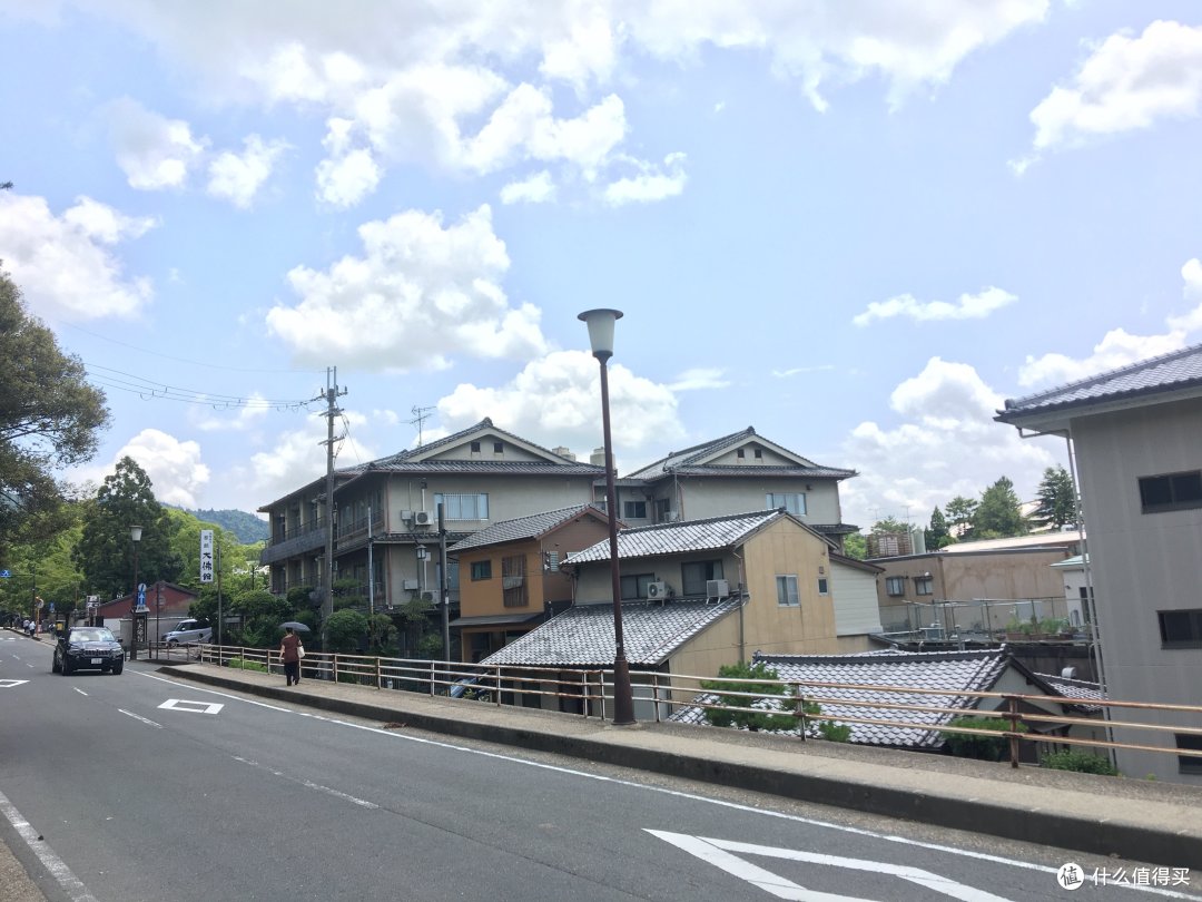 2019年6月22日奈良公园和伏见稻荷大社
