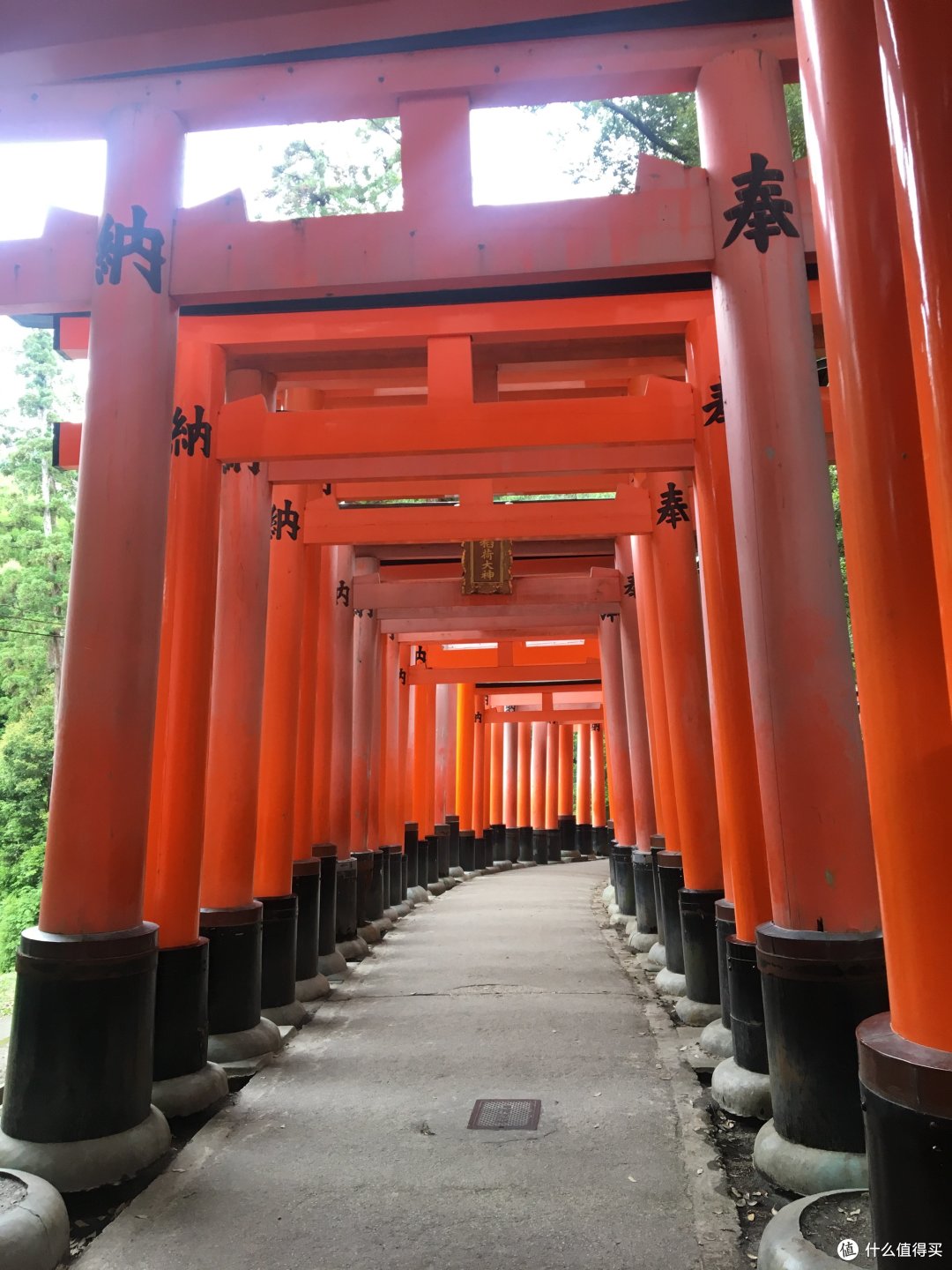千本鸟居