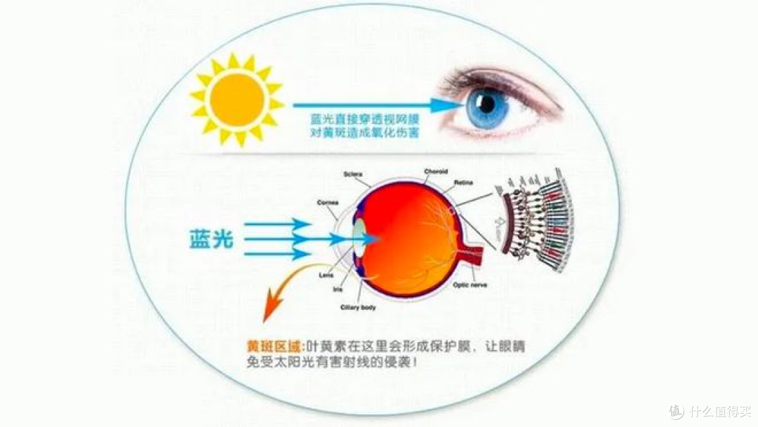 【健康科普】预防近视，儿童青少年叶黄素到底要不要额外补充叶黄素？8款叶黄素测评