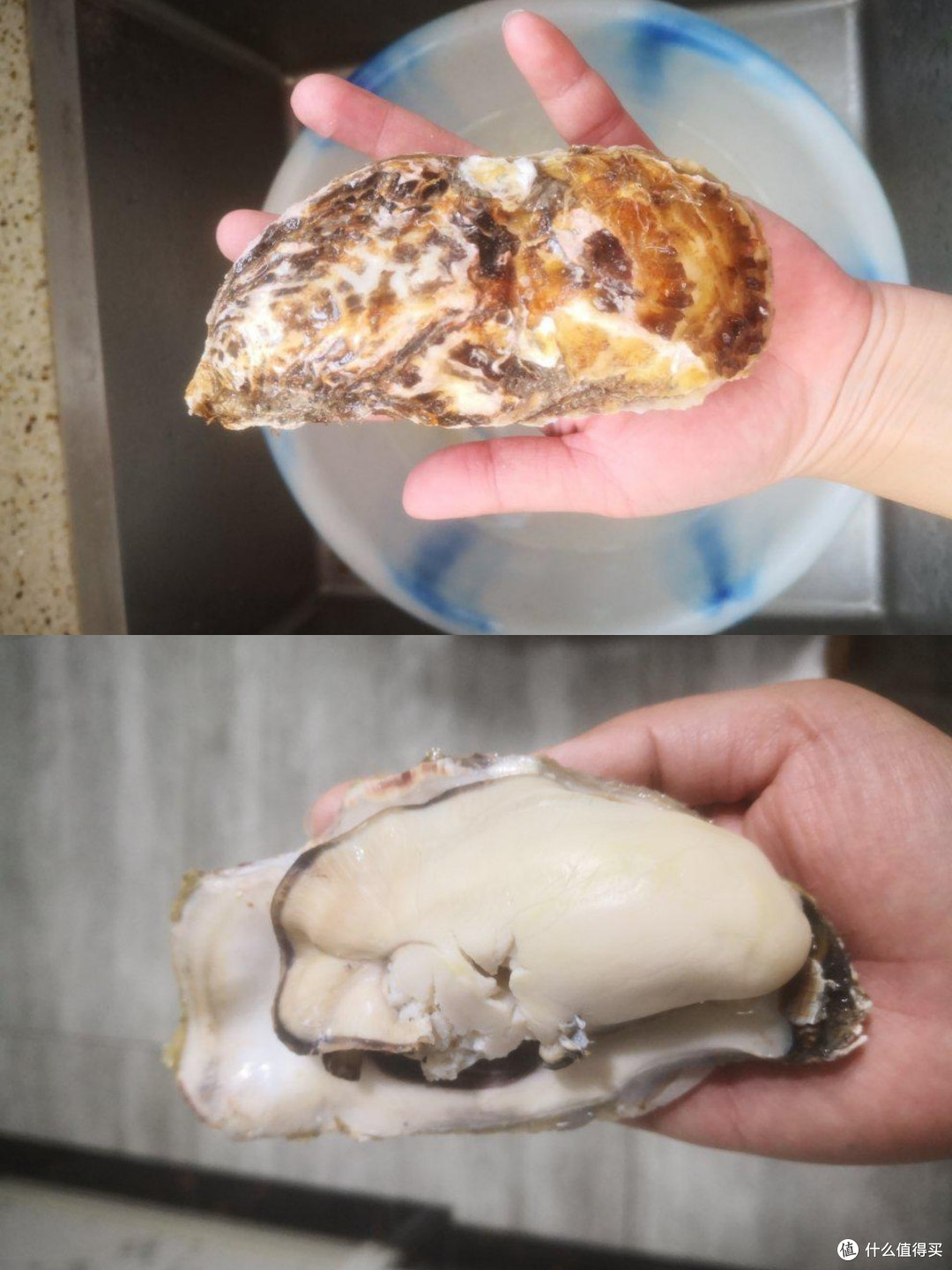 开工第一餐 广式小烧烤搞起来~Plog