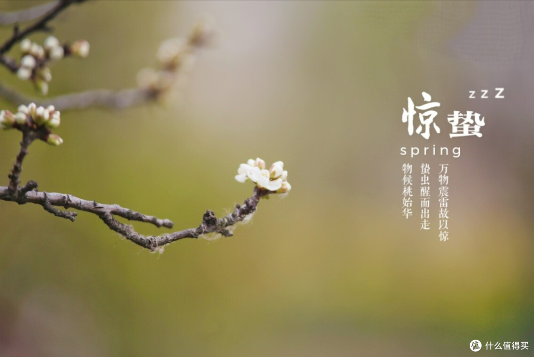 惊蛰节气前后,建议多吃“3菜1果”,滋补降春燥,安安稳稳过春天