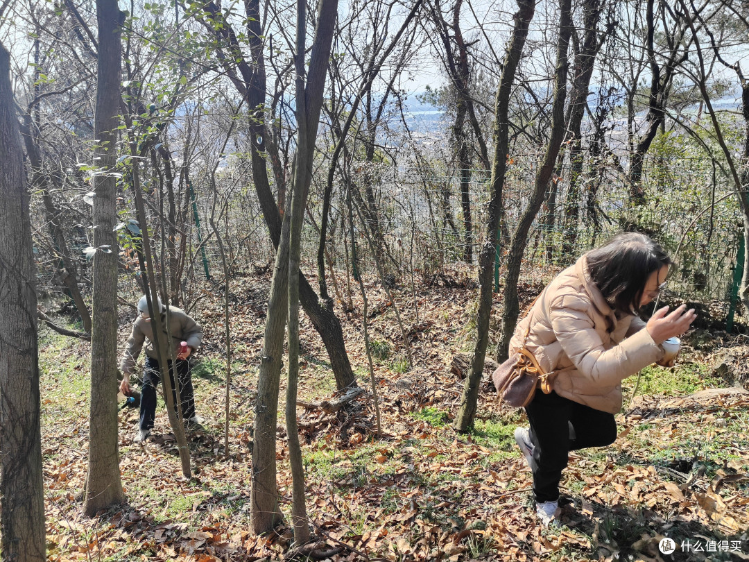 上海周边的1.5h，人少坡缓，适合轻放松的徒步好去处：常州虞山
