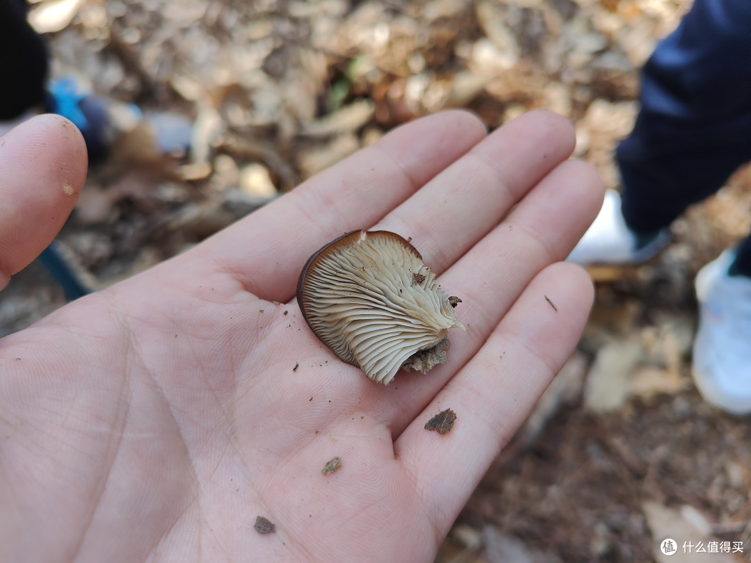 上海周边的1.5h，人少坡缓，适合轻放松的徒步好去处：常州虞山