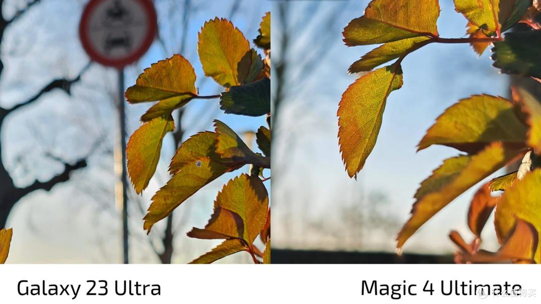 荣耀Magic4至臻版和三星S23Ultra拍照对比:5000万和2亿差距真大